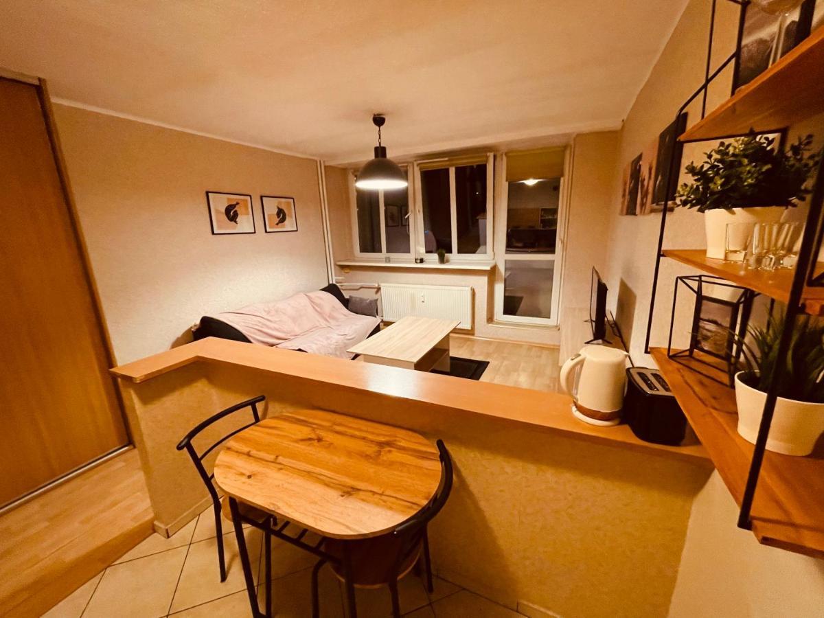 קטוביץ Apartamenty Ktw Park Slaski Luksusowy Prl מראה חיצוני תמונה