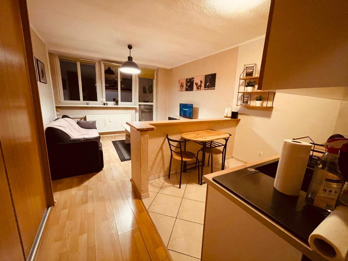 קטוביץ Apartamenty Ktw Park Slaski Luksusowy Prl מראה חיצוני תמונה